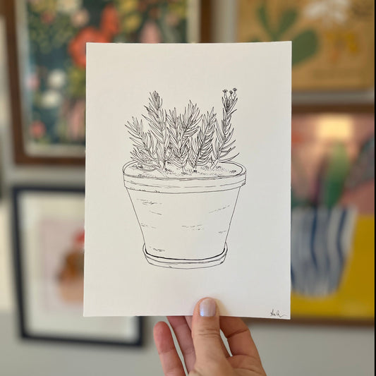 Potted Spiky Plant (Original)