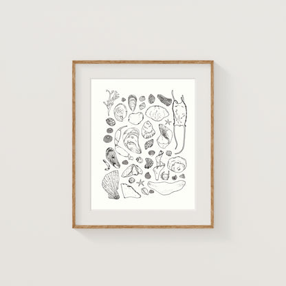Beachcombing for Seashells Art Print | Cape Cod | Ink