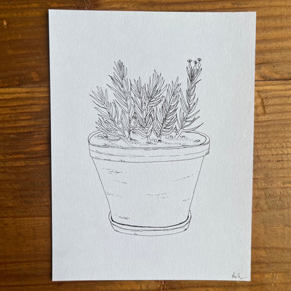 Potted Spiky Plant (Original)