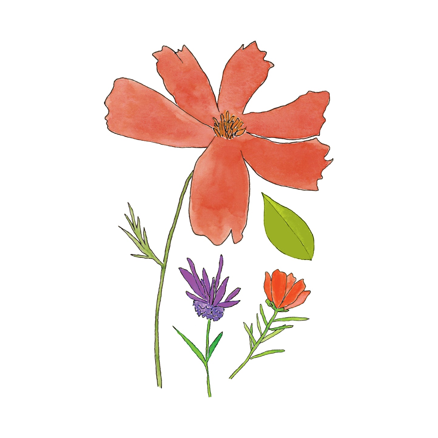 Flower Collection Art Print | Gouache and Ink